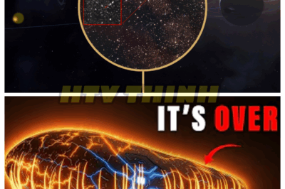 NASA’s TERRIFYING DISCOVERY: 3I/ATLAS May Have Absorbed A UNIVERSE-ENDING FORCE NEAR THE SUN 😱🌑 Breaking news from the farthest reaches of space—3I/ATLAS has encountered something absolutely UNIMAGINABLE near the Sun. A mysterious force has absorbed the probe, leaving scientists on edge. Is this the beginning of the end? As the data floods in, a chilling realization is taking hold: we may not be prepared for what’s coming. Will humanity survive this new threat from beyond the stars? 👇