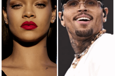 Rihanna Breaks Her Silence About Chris Brown Saga 😳