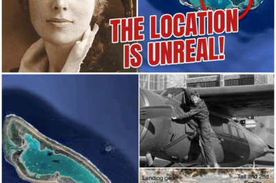 😱 Amelia Earhart’s Plane was Just Found! The Location Will Shock You 😱 – HTT