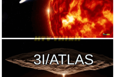 SHOCKING: C/3I Atlas Discovers Something UNBELIEVABLE Behind the Sun — Could Avi Loeb Have Been RIGHT All Along? 🌌 The truth is out, and it’s stranger than we could have ever imagined. C/3I Atlas has just shown us something lurking behind the Sun that could finally prove Avi Loeb’s bold predictions correct. Was he onto something with his alien artifact theory? The discovery has left scientists and skeptics alike questioning everything, and the implications are nothing short of earth-shattering. Prepare yourself for a revelation that might just change the way we see the universe. 👇