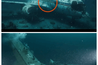 MH370 Found Intact Under the Ocean – What the Cameras Discovered Inside the Cabin