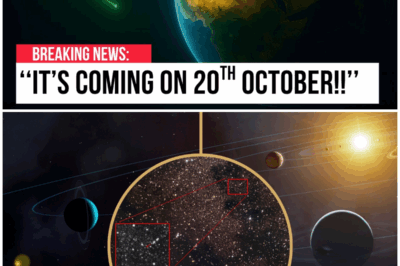 😱 A Bigger Object is Coming For Earth Next Week, And It’s Not 3I/ATLAS 😱 – HTT