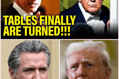 Gavin Newsom Obliterates Trump: The Shocking Truth Behind the Governor’s Bold Attack!