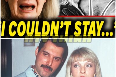 🐿️ At 74, Mary Austin FINALLY Explains Why She’s Selling All Of Freddie Mercury’s Priceless Belongings 😱 | Heartbreaking Confession, Secret Memories 💔, And The Shocking Truth Behind The Auction That Rocked Queen Fans Worldwide