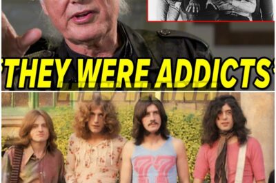 🐿️ LEGEND UNLEASHED ⚡: Jimmy Page FINALLY REVEALS What REALLY Happened With Led Zeppelin — Dark Secrets, Broken Bonds, and the Untold TRUTH Behind the Band That Defined Rock Eternity!🔥