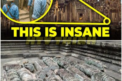They Just FOUND a HIDDEN VAULT Beneath Angкor Wat