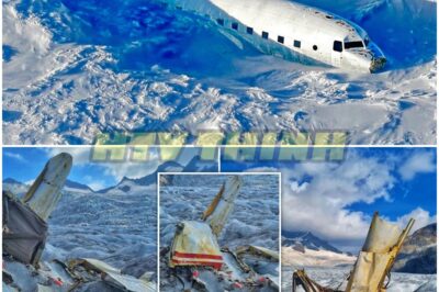 Scientists Find Plane Buried in Arctic Ice