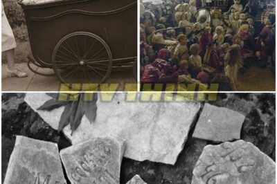 Entire Orphanage VANISHED in 1968