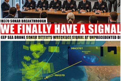 After 11 Years, Drone with 100× Stronger Sonar FINDS MH370 Signal