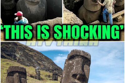 What Archeologists Just Discovered Beneath Easter Island Will Leave You SHOCKED