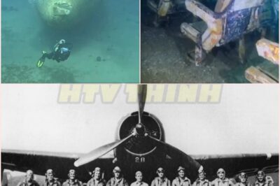 🧿BREAKING: US NAVY FLIGHT 19 FOUND 75 YEARS AFTER THE BERMUDA TRIANGLE MYSTERY MAY FINALLY BE SOLVED! ✈️🌊🕵️‍♂️