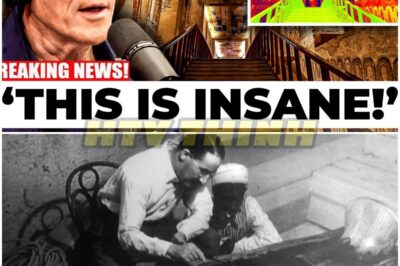 What They Found in King Tutanкhamun’s Hidden Shaft 😨