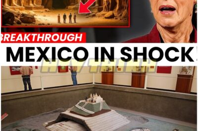 🐿️ What They FOUND Inside the CHOLULA PYRAMID 😱 — A Discovery So ASTONISHING It Could CHANGE Everything We Know About Ancient Civilization! 🏺⚡️ Beneath the hills of Mexico, archaeologists have just uncovered a hidden chamber buried deep inside the world’s largest pyramid — and what’s inside has the global scientific community in shock. Mysterious metallic artifacts, preserved murals depicting beings descending from the sky, and inscriptions that predate known Mesoamerican history by millennia. Some experts are calling it “the missing link” between myth and history, while others warn it could rewrite the story of human origin itself. Was Cholula more than a temple — could it have been a gateway to something far greater? The answers buried inside may change history… forever. 👇