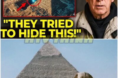 😱 Before He Dies, Mark Lehner CONFESSES What He Found Beneath The Great Pyramid