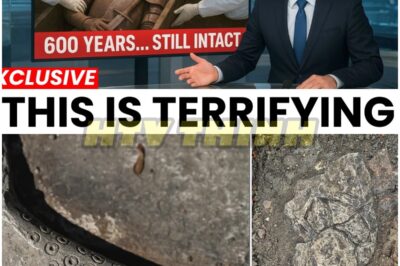 Archaeologists STUNNED 😱