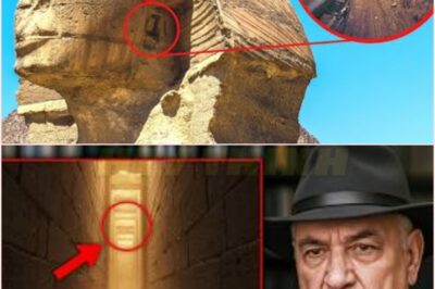 🧿 Before I Die, I Must Tell The TRUTH  — Zahi Hawass REVEALS What They Found Inside The Great Pyramid, And It Changes EVERYTHING We Thought We Knew About Ancient Egypt!