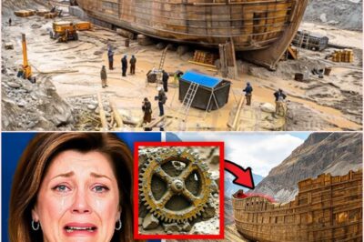 🧿 What Scientists FOUND Inside Noah’s ARK in Turkey Terrifies The World: Unthinkable Discoveries Beneath Ancient Timbers That Challenge Histo