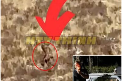 😱 Two Veterans Share The Most Terrifying BIGFOOT