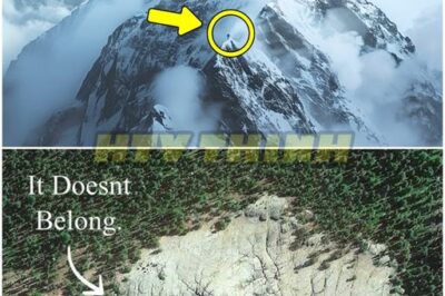 HIMALAYAN MYSTERY REVEALED 🏔️