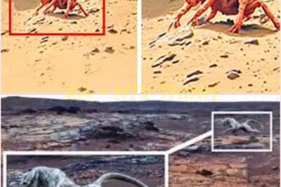 🧿 Alien Encounter or Cosmic Hoax? James Webb Space Telescope Unveils Startling Image of a Mysterious Creature on Mars—Is This Proof of Extraterrestrial Life or an Elaborate Deception? 👽🛸🔴