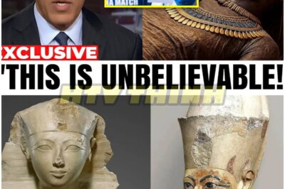 🐿️ What They Found in Queen Hatshepsut’s DNA 🧬 REVEALS a Shocking Secret About Egypt’s Most Mysterious Ruler — Historians Are REELING! 🏺