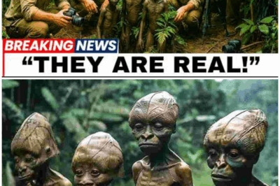 “Unraveling the Terrifying Secrets of the Congo Basin: From Newly Discovered Species to Ancient Mathematical Artifacts, What Lies Beneath Is Beyond Imagination! 🌍😱”