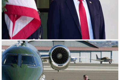 Harrison Ford torches Trump over climate policy despite owning and flying private jet