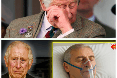 “A Royal Heartbreak: The Shocking News About Prince Andrew That No One Saw Coming! 🌧️” In a surprising turn of events, the Royal Family has just disclosed heartbreaking news about Prince Andrew that has sent ripples of sorrow through the nation. As the story unfolds, it reveals the complexities of royal life and the emotional challenges that come with it. This is a must-read for anyone invested in the fate of the monarchy! 👇