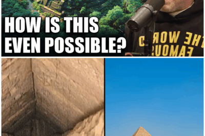 Inside the Great Pyramid: What Archaeologists Discovered Will Terrify You—A Hidden Void, Toxic Secrets, and a Warning from the Ancients!