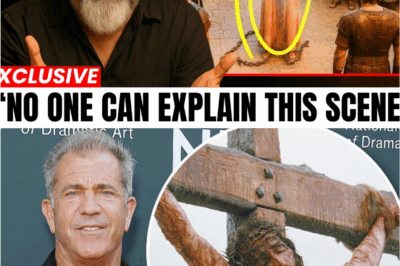 Mel Gibson Finally Speaks Out: “To This Day, No One Can Explain It”