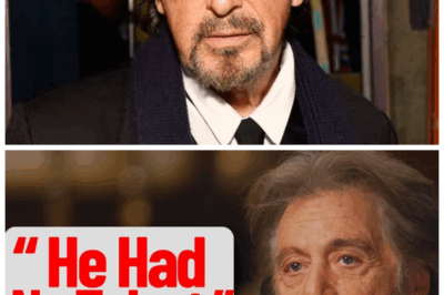 🐘 At 85, Al Pacino Finally Names the Seven Actors He HATED Most 🔥 “I’ve Worked With Geniuses and Nightmares” — Hollywood Can’t Handle the List 👇 In a jaw-dropping interview that felt more like a confession than a conversation, Al Pacino at 85 finally dropped the list nobody thought existed — the seven names that haunted his career. “I kept quiet for decades… but silence gets old.” Industry insiders are already panicking, calling it “the most explosive truth bomb since Brando’s exile.” 👇