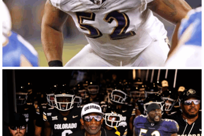 🐘 “Ray Lewis BLASTS His Team: ‘YALL ARE A BUNCH OF INDIVIDUALS, NOT A TEAM!’ – Is This the End of Their Dynasty?” 💥 In an explosive outburst, Ray Lewis has thrown down the gauntlet, calling his team out for failing to unite under one banner. His scorching words — “Y’all are a bunch of individuals, not a team” — are shaking the foundation of the locker room. Can this be the wake-up call they need, or is this the beginning of the end for their dynasty? Fans are questioning everything, and the tension has never been higher! 👇