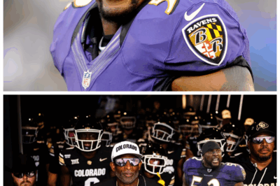 🐘 “Ray Lewis Shreds His Team’s Unity: ‘YALL ARE A BUNCH OF INDIVIDUALS, NOT A TEAM!’ — Is This The Breaking Point?” 💣 Ray Lewis has left no room for doubt with his brutally honest critique, accusing his team of prioritizing personal glory over collective success. “Y’all are a bunch of individuals, not a team” — the explosive statement echoes through the locker room like a war cry. What happens now? Can the team rally together, or is this a sign of a doomed season? 👇