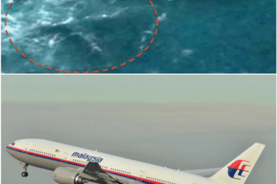 The Unsolved Mystery of MH370 — Why the World Still Can’t Find Malaysia Airlines’ Lost Flight