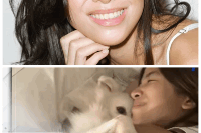 🐘 Kuya Kim Atienza Breaks Down in Emotional Recall of Son Emman’s Passing: A Tale of Love and Loss 💔🔥 Experience the gut-wrenching sorrow as Kuya Kim bares his soul, recounting memories of Emman that cut deeper than any blade, exposing the raw reality of a father’s heartbreak. “Grief is a cruel companion,” he confesses, revealing secrets and sentiments that will leave you breathless and teary-eyed. Don’t miss this powerful, unforgettable tribute! 👇