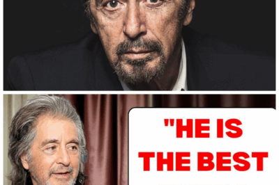 🐘 The Godfather Speaks 👑 Al Pacino’s Six Favourite Actors Reveal the Soul Behind the Legend 👇 After six decades of brilliance, Pacino sat down to reflect — not on himself, but on those who made him believe. “I’ve worked with hundreds, admired dozens… but only six made me stop and think, ‘That’s it. That’s the magic.’” His list was unpredictable, deeply personal, and completely Pacino — raw, poetic, and unforgettable. 👇
