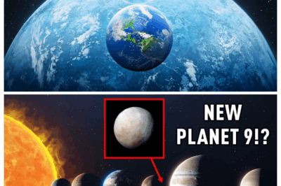 Scientists Are REALLY Close To Finding Planet 9