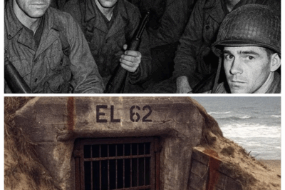 American Squad Vanished in WW2 — 50 Years Later, The Reopened Nazi Bunker Stuns Investigators…