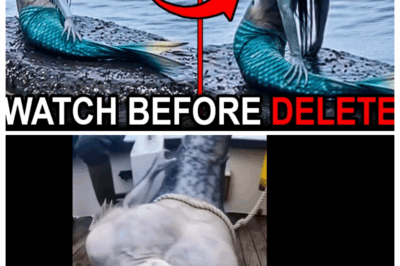 Scientists Shocked After Mermaid Myths Were Proven on Camera — These Creatures Might Be REAL!