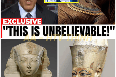 What They Found in Queen Hatshepsut’s DNA 🧬 REVEALS a Shocking Secret About Egypt’s Most Mysterious Ruler — Historians Are REELING! 🏺