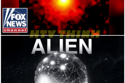 🦊 “ALIENS AMONG US? Shocking Evidence from a Mysterious Comet That Behaves Like Nothing Scientists Have Ever Seen — Experts Warn This Could Change Everything 👽🚀”