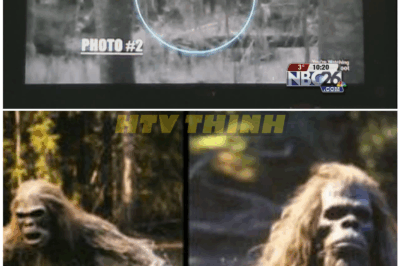 🦊 TERRIFYING BIGFOOT ENCOUNTERS CAUGHT ON CAMERA — EYEWITNESSES SPEAK OF UNIMAGINABLE HORROR 😱👣