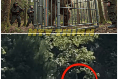 🦊 “The Most TERRIFYING Bigfoot Encounters Ever Caught on Camera — Chilling Footage, Unexplained Screams, and Evidence Too Real to Ignore 😱🌲”