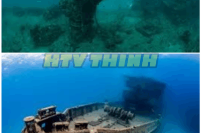 🦊 13 Creepiest Things Found at the Bottom of the Ocean — The Terrifying Discoveries Scientists Tried to Keep Hidden 🌊😱