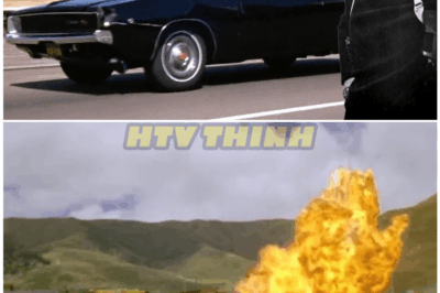 🦊 Bullitt’s Villainous Charger Destroyed in Secret Hollywood Scandal — Shocking Fate No One Was Ever Meant to Know! 🚗💥