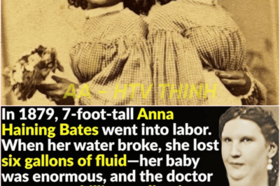 🧿 “History’s Most Disturbing Freakshows 🎪😱 — The Dark Secrets Behind the Circus Curtains They Never Wanted You to See 🤡🩸 Where Entertainment Met Exploitation…”