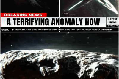 NASA Shuts Down 3I/ATLAS Live Feed After Something Massive Shows Up…
