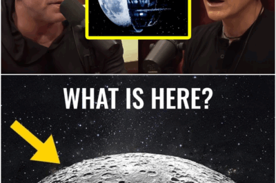 The Moon Is NOT What You Think! | Joe Rogan