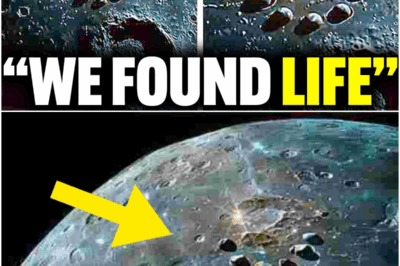 James Webb Telescope REVEALS What NASA Tried to HIDE on Mercury, and It’s TERRIFYING!