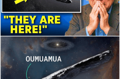 Biggest Object Ever That Entered Our Solar System Has Just Arrived — And It’s Targeting Humanity